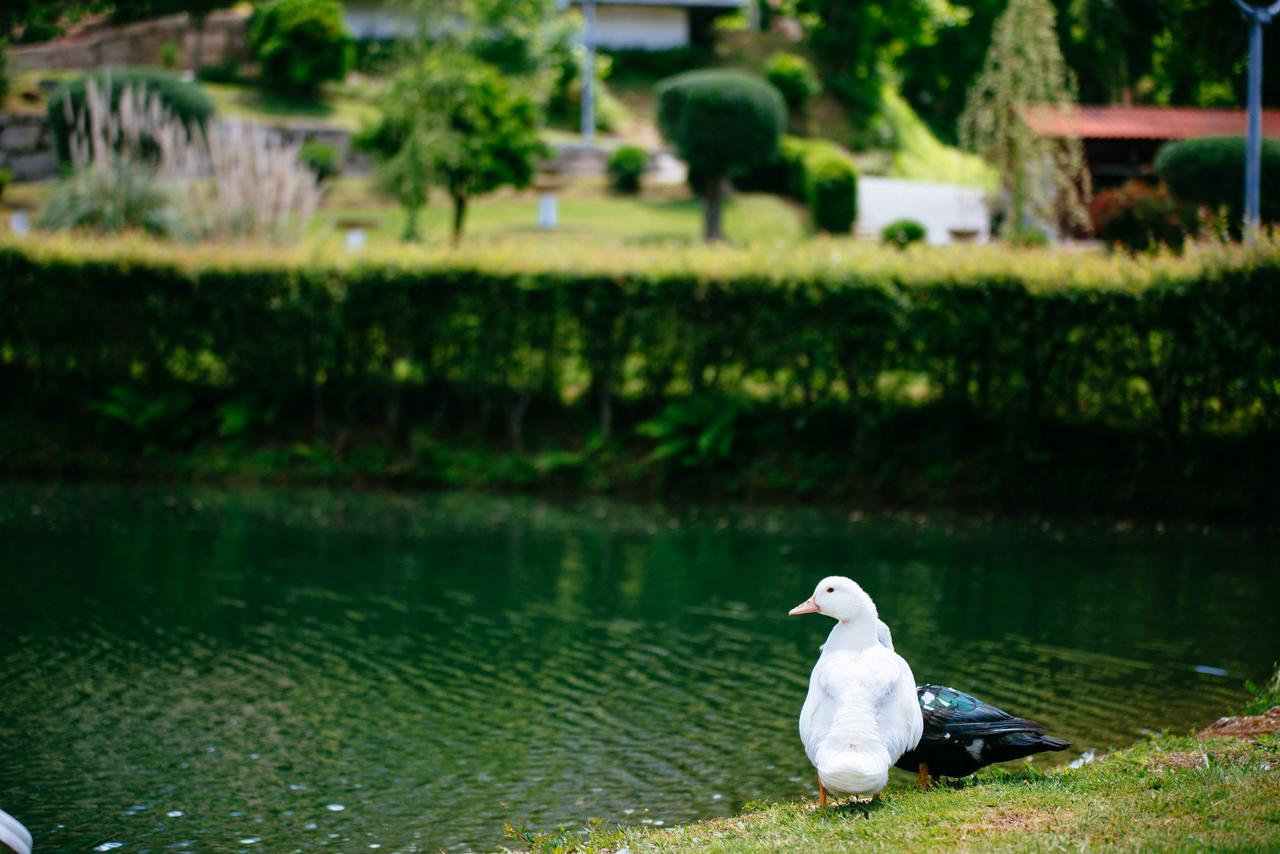 Quinta Do Rio Geres Villa Bouro Eksteriør bilde